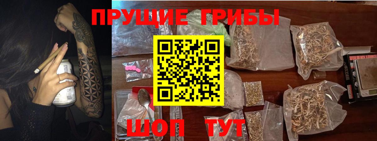Туапсе  Псилоцибиновые грибы прущие грибы  Вход с VPN  Псилоцибиновые грибы Psilocybine cubensis 